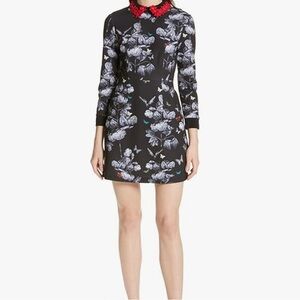 Ted Baker London Amaliia Narnia Floral Collar Dress